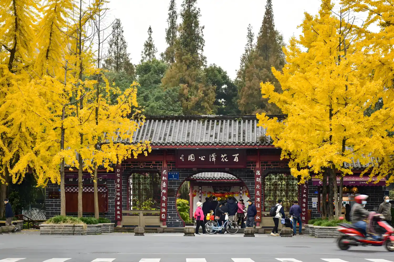Traveling with Moutain China Travel felt like having a wise friend unlock China’s soul.