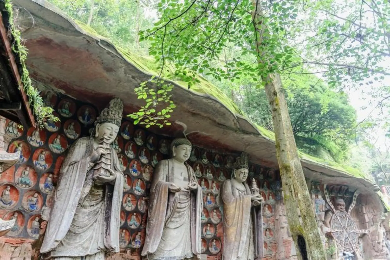 Traveling with Moutain China Travel felt like having a wise friend unlock China’s soul.