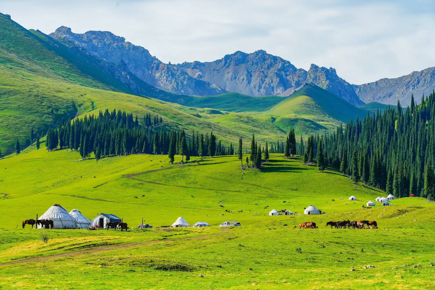 Traveling with Moutain China Travel felt like having a wise friend unlock China’s soul.